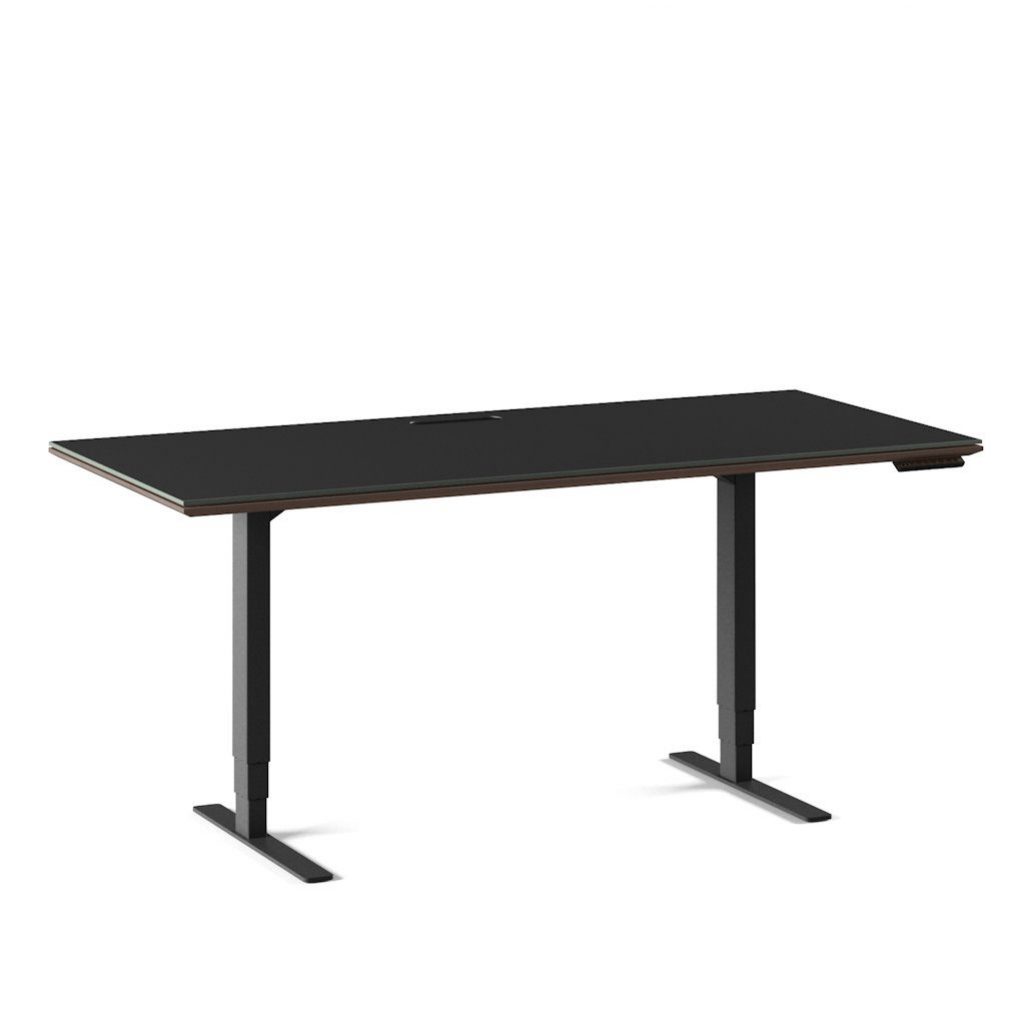 BDI Sequel 20 6152 Standing Desk