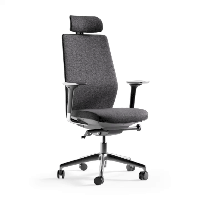 BDI Coda Desk Chair #3521