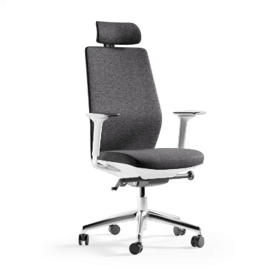 BDI Coda Desk Chair #3522