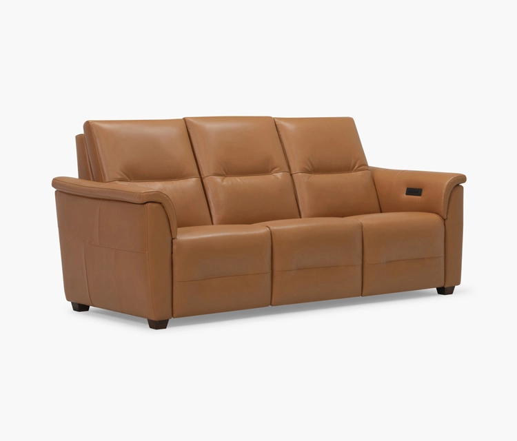 Palliser Oxford Sofa - Image 3