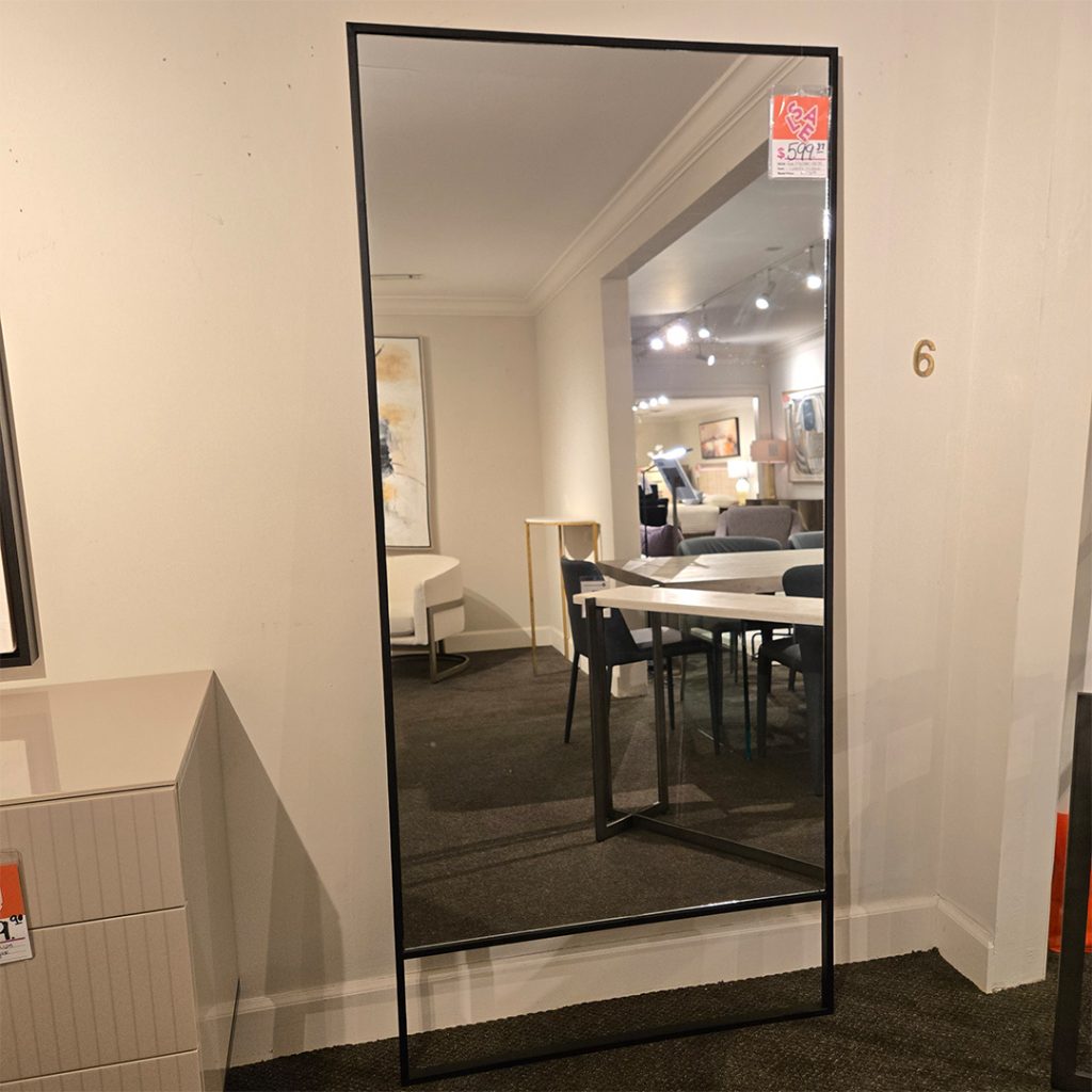 Mirror 2029